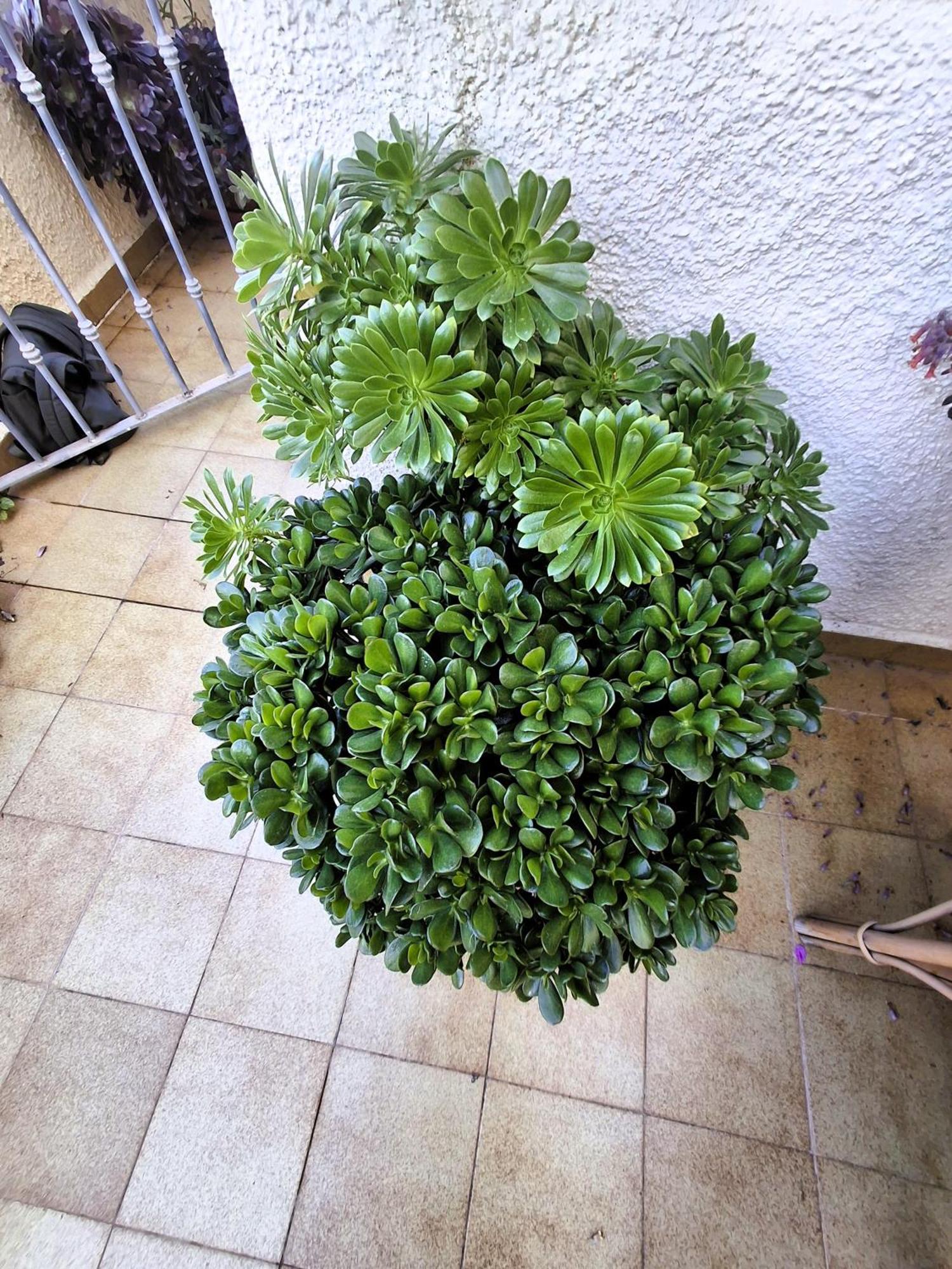 Apartemento Monika Monte Pedrera C 4 Top Aussicht Denia Exterior foto